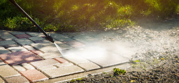 Boat and Dock Cleaning in Felida, WA